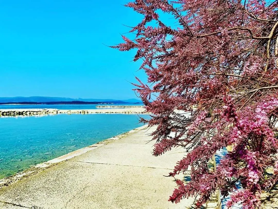 Apartment Alen Turanj Croatia
